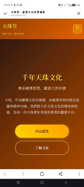 虛擬數字的幻覺:我在「天珠堂」平台上那一頁看似完美的帳單 8 f 29559375 1